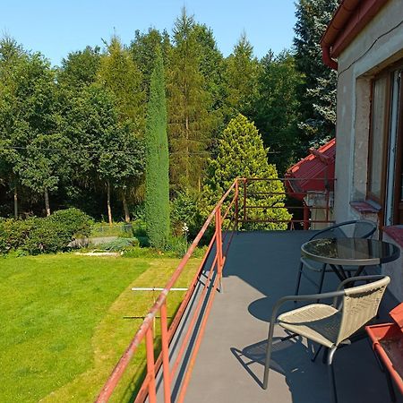 Apartman Za Lesem Cervený Kostelec Exterior foto