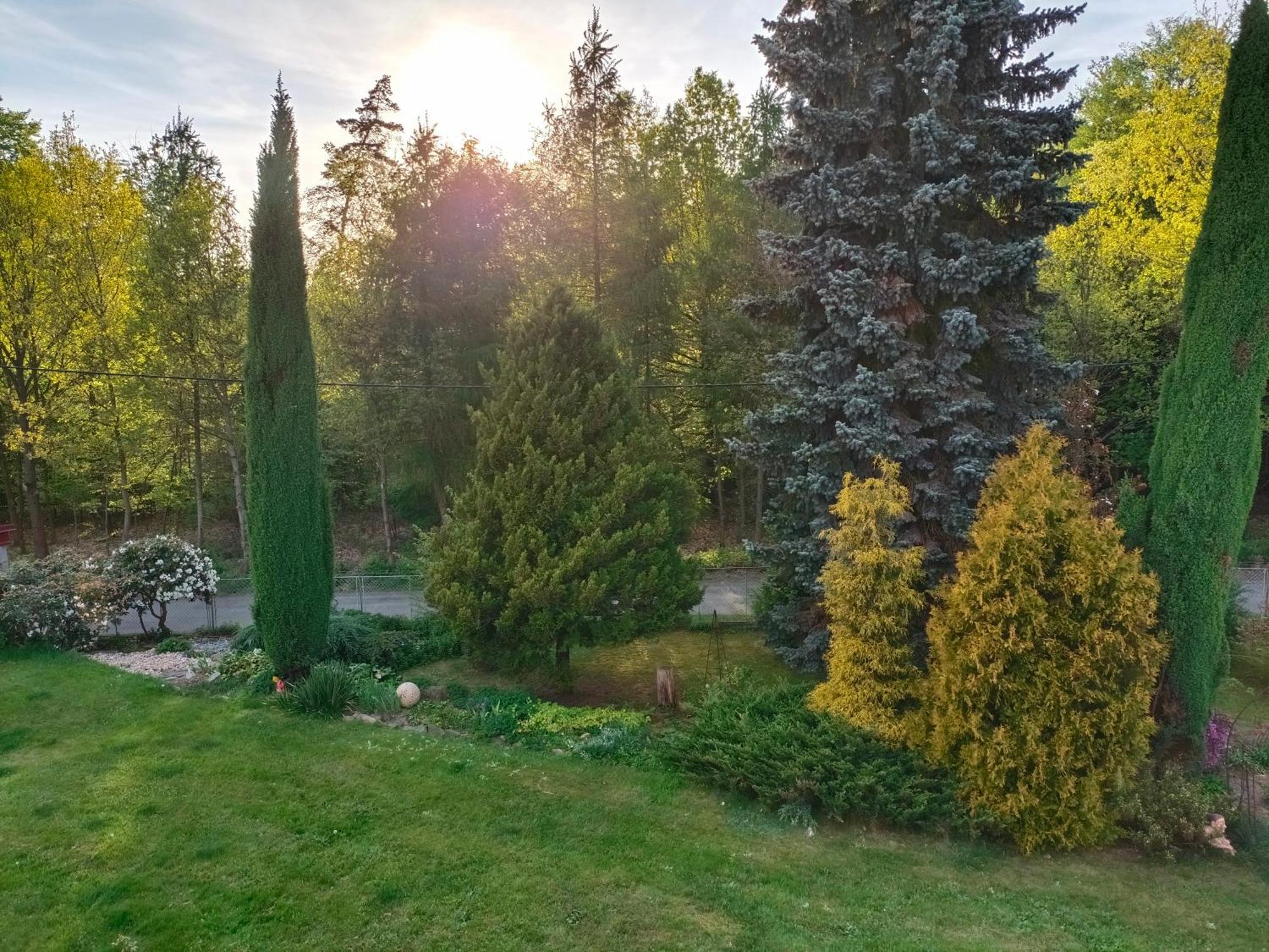 Apartman Za Lesem Cervený Kostelec Exterior foto